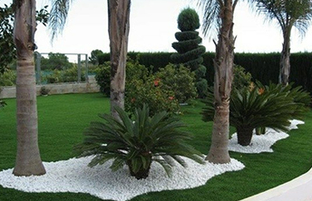 المشروعات الزراعية